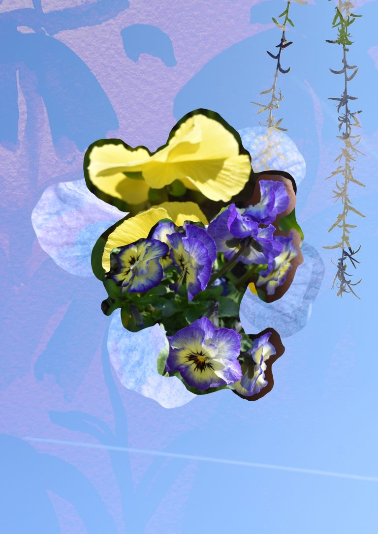 Mood board that is with flower elements that is intended for a print fashion collection